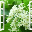 아름다운쉼터 이미지