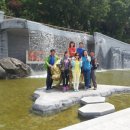 백년바다민박 | 창원 마산 맛집 중심 봄나들이 코스｜한우백년·낭만굴비 먹고 돝섬은 보너스 여행