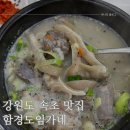 함경도식당 | 속초맛집 함경도 임가네 내돈내산 솔직후기 애견동반 가능식당