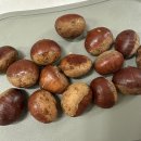 276 | D+276 후기이유식 밤큐브 만들기 생밤사용