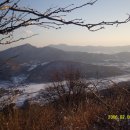황골 사슴 농장 티스토리