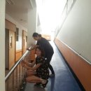 원광상록원 이미지