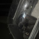 이쁜연어 | 260308 대만여행[1] / 시먼딩 곱창국수&싱푸당버블티&삼미식당(연어초밥)&까르푸 후기