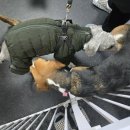 개네집 곳간 이미지