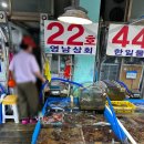 중앙영남횟집 | 속초 동명항 회센터 회포장 시세 주차 솔직후기
