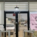 변신하개 이미지