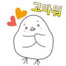 (주)파마케어 이미지