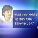 세종시문제에 청와대와 야당 "박근혜 모시기 총력전 점입가경 이미지