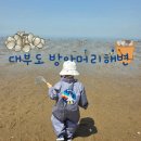 대부도방아머리 | 대부도 갯벌체험 준비물 및 방아머리해변 아기랑 모래놀이 후기
