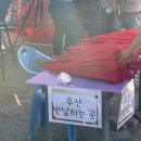 [원주축제]원주 양귀비축제 방문 후기