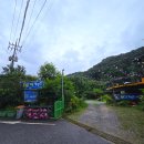 가평물골숲계곡캠핑장 | [캠핑]서울 근교 계곡 옆 캠핑장 가평물골숲계곡오토캠핑장 애견동반(시설, 위치, 비용, 계곡)