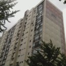 강남-135 이미지