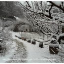 오솔길 농장 이미지