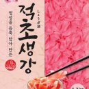 적초