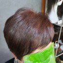 김호증모 가발 수정 헤어