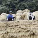 영랑생가 이미지