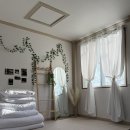 감나무집할배네 이미지