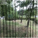 용연동길 이미지