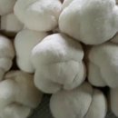 신복농장 이미지