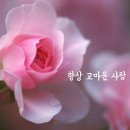 향기 Daum카페