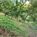 호석농장 이미지