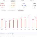 가야스파벨리 티스토리