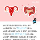 생리할 때 똥이 잘나오는 이유는? 이미지