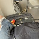 토론토에서 살아남기 +160