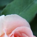 원지농원 이미지