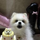 멈무까 이미지