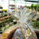 가람농원 이미지