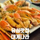 대학로(유성-3) | [유성 대게나라]주말 점심 대게 코스 내돈내산 후기, 꿀팁