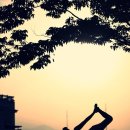Sharda yoga 요가 수업 오픈 합니다 (성인&키즈) 이미지