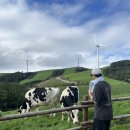 공명목장 이미지