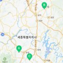 대전고양이분양 퍼피댕 캣 안심분양소 둔산점 이미지