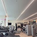 디데이핏 이미지