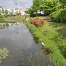 푸른행정사공인중개사사무소 이미지