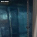 백년순대이야기 이미지