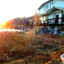 아내의 텃밭 이미지