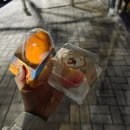 GS25 편의점 디저트 추천 과일아이스크림 프로즌 오렌지 소르베 가격 맛 후기