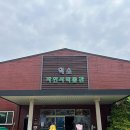 덕소자연사박물관 | 남양주 덕소자연사박물관 벌레잡이 식물 특별전 관람후기