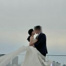 브러쉬블리(brushvely) | W. 촬영 헤어변형 추천 브러쉬블리 내돈내산 후기 ❤