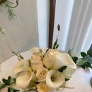 플로리모라