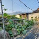 호경농장 이미지