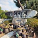 (재)대전교구 천주교회 유지재단 당진성모병원 | 한국 최초의 가톨릭 사제 성 김대건 안드레아의 생가, 솔뫼성지