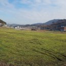 복사골농장 이미지