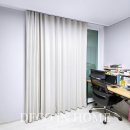 금산느티나무 이미지