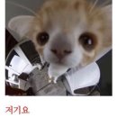 한국앵글 태안총판 | 🍉 🍉 방학일기 ✎ꪑ