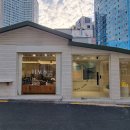 베스트 애견 이미지