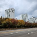 213-3-000001 | 호락호락하지 않은 세상 속 호락호락 그 자체의 나_2023년 11월 일상